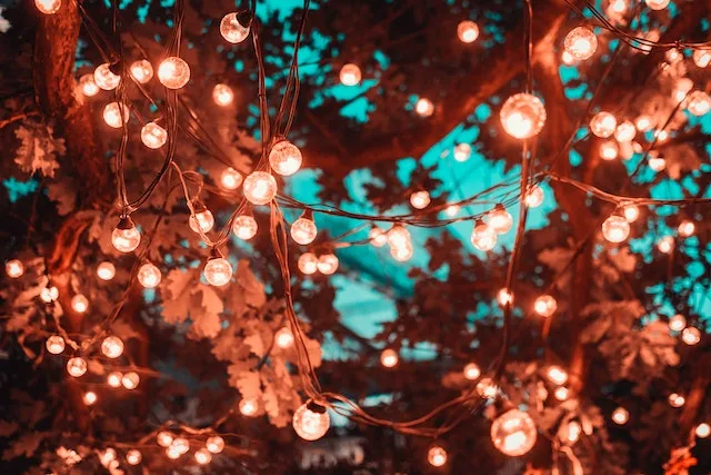 how-to-flock-your-christmas-tree-this-holiday-using-flocking-powder