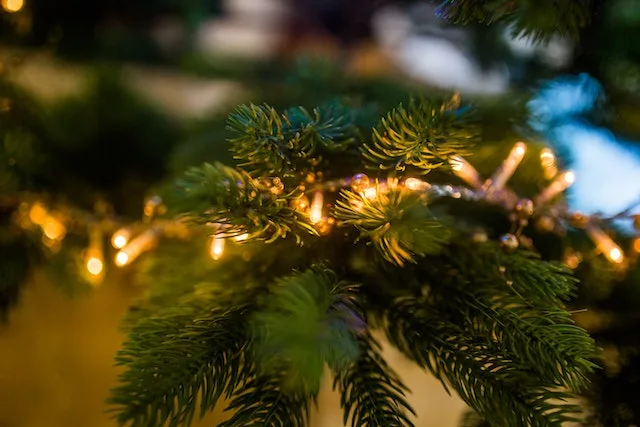 artificial-christmas-trees-black-and-white-theme