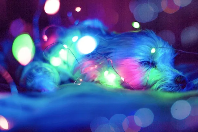 a-retro-theme-for-artificial-christmas-trees
